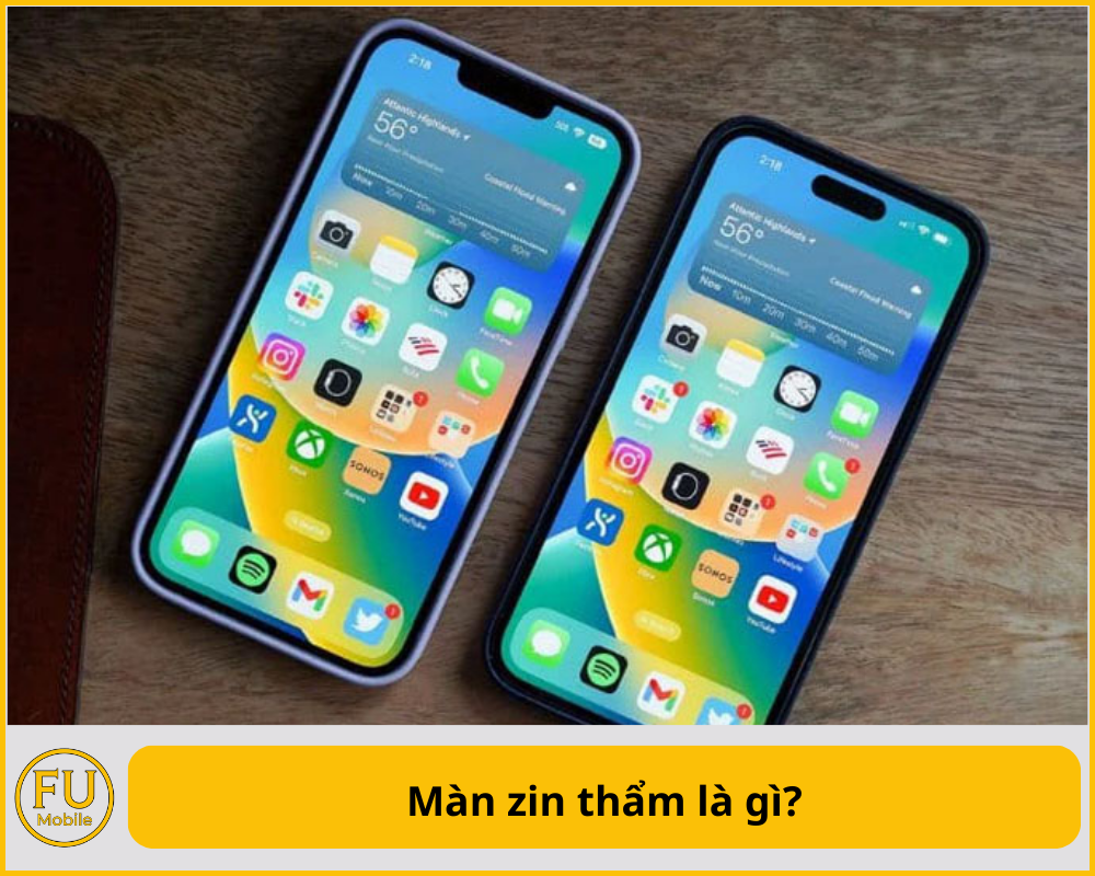 Màn zin thẩm là gì?